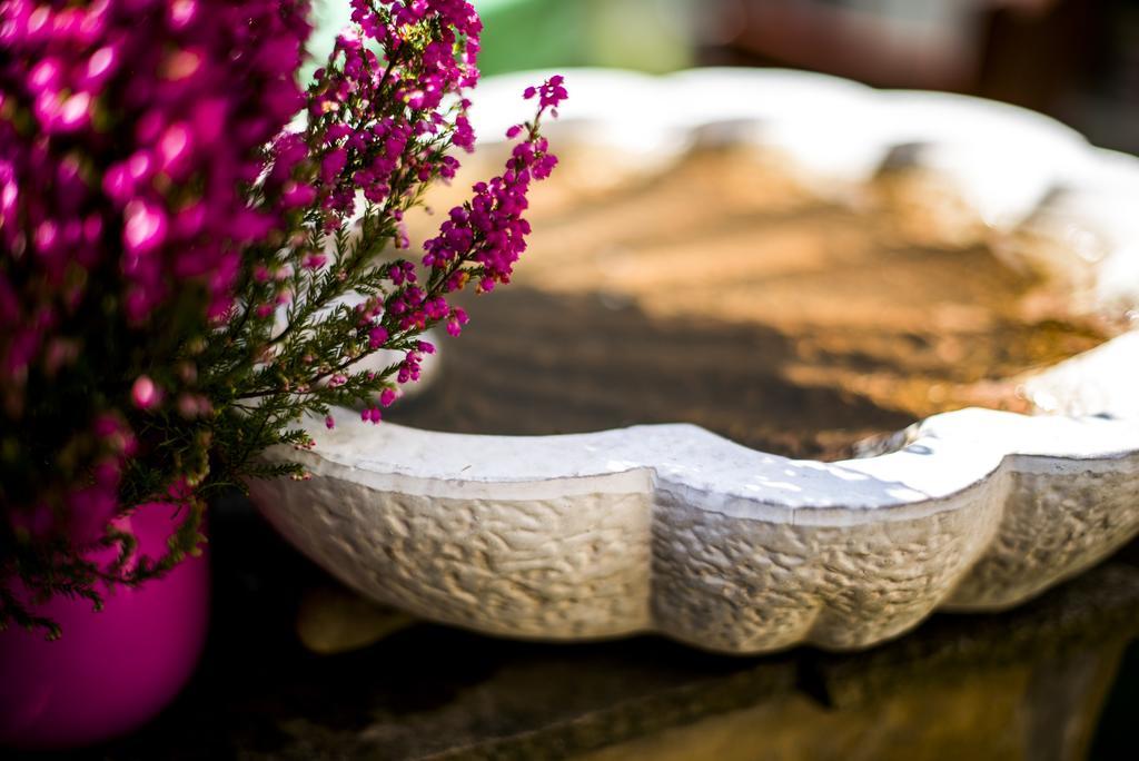Feng Shui Wellness Apartmanhaz Hévíz Eksteriør billede